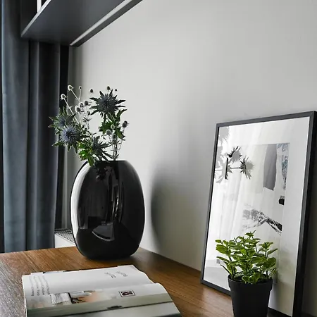 Velvet Dreams 49 Apartment
